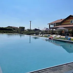  Vakantieboerderij Almavite Wine With Pool - Happy